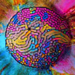 Meet your Posher, Janis